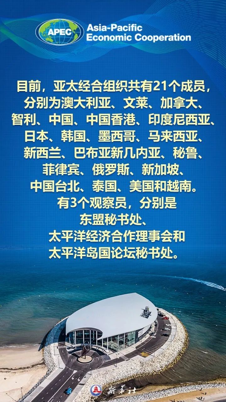 亚太经济合作组织的崛起与挑战，构建共同繁荣的未来，亚太经济合作组织，共同繁荣的挑战与未来崛起之路